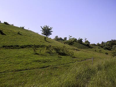 Nordby Bakker, juni 2003  (MWH)